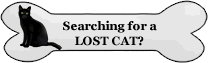How to search for your lost cat - - Lost And Found Pets Of Long Island - LAFPOLI