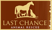 Last Chance Animal Rescue