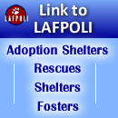 Link your website to Lost and Found Pets Of Long Island--LAFPOLI