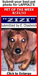 Pet of the Week--Lea