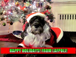 happy holidays from LAFPOLI