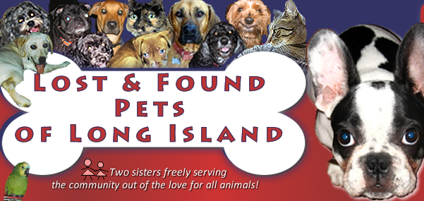 Lost and Found Pets of Long Island -- LAFPOLI