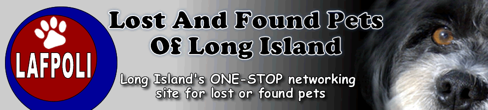 Lost And Found Pets Of Long Island